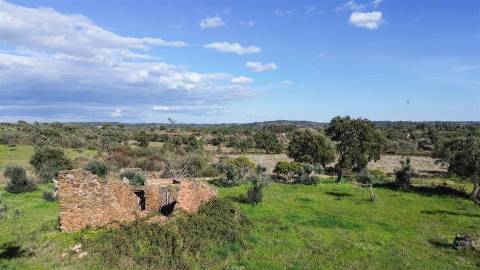 Quinta com Ruína e Água em Juncal do Campo | Castelo Branco