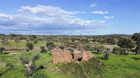 Quinta com Ruína e Água em Juncal do Campo | Castelo Branco