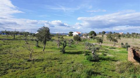 Quinta com Ruína e Água em Juncal do Campo | Castelo Branco