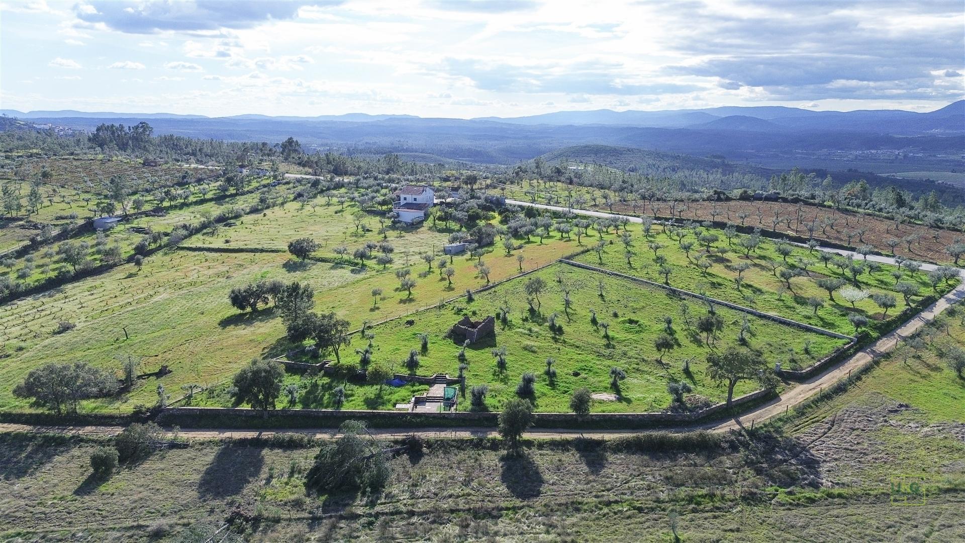 Quinta com Ruína e Água em Juncal do Campo | Castelo Branco