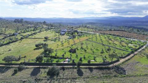 Quinta com Ruína e Água em Juncal do Campo | Castelo Branco