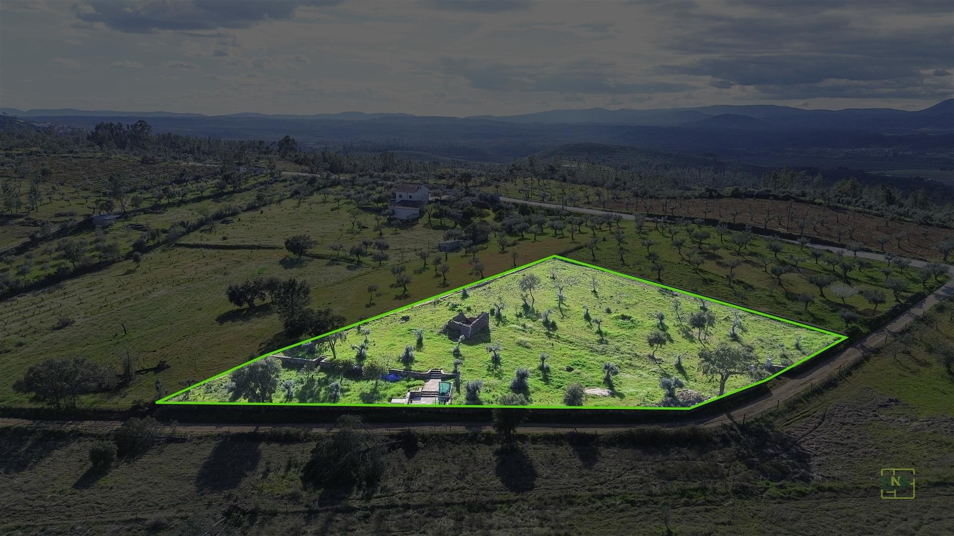 Quinta com Ruína e Água em Juncal do Campo | Castelo Branco