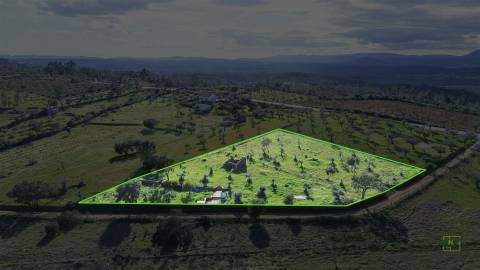 Quinta com Ruína e Água em Juncal do Campo | Castelo Branco