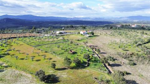 Quinta com Ruína e Água em Juncal do Campo | Castelo Branco