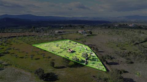 Quinta com Ruína e Água em Juncal do Campo | Castelo Branco