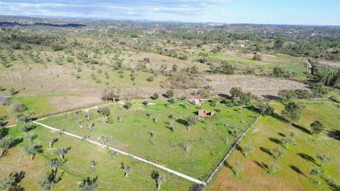 Quinta com Ruína e Água em Juncal do Campo | Castelo Branco