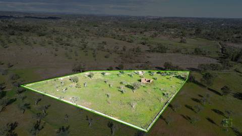 Quinta com Ruína e Água em Juncal do Campo | Castelo Branco