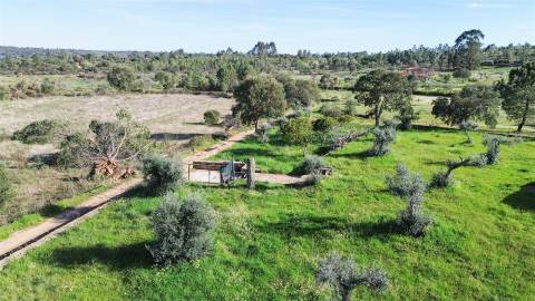 Quinta com Ruína e Água em Juncal do Campo | Castelo Branco