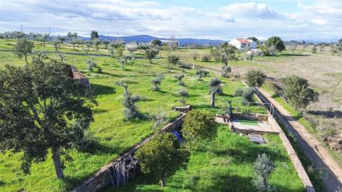 Quinta com Ruína e Água em Juncal do Campo | Castelo Branco