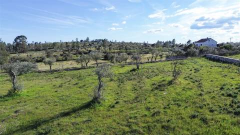 Quinta com Ruína e Água em Juncal do Campo | Castelo Branco
