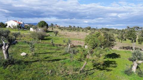 Quinta com Ruína e Água em Juncal do Campo | Castelo Branco
