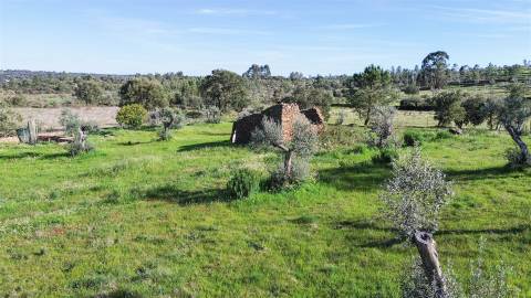 Quinta com Ruína e Água em Juncal do Campo | Castelo Branco