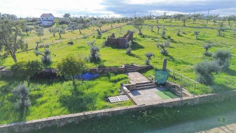 Quinta com Ruína e Água em Juncal do Campo | Castelo Branco
