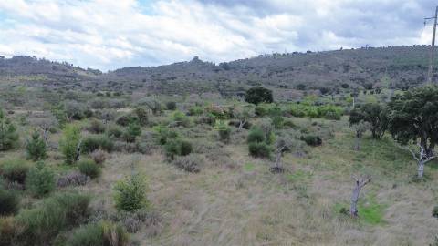 Propriedade em Penamacor!