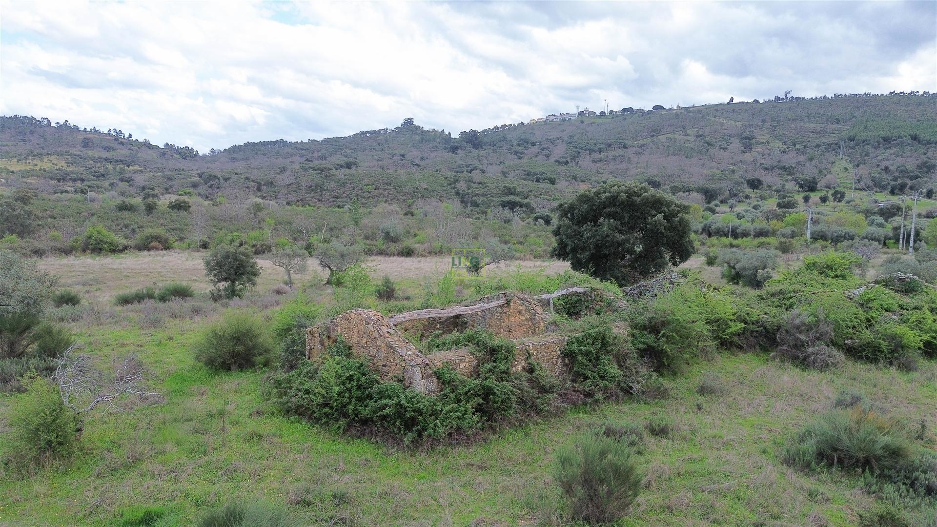 Propriedade em Penamacor!