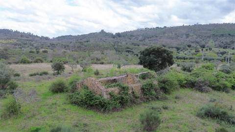 Propriedade em Penamacor!