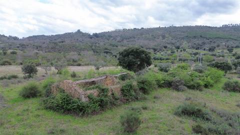 Propriedade em Penamacor!