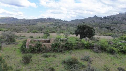 Propriedade em Penamacor!