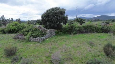 Propriedade em Penamacor!