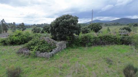 Propriedade em Penamacor!