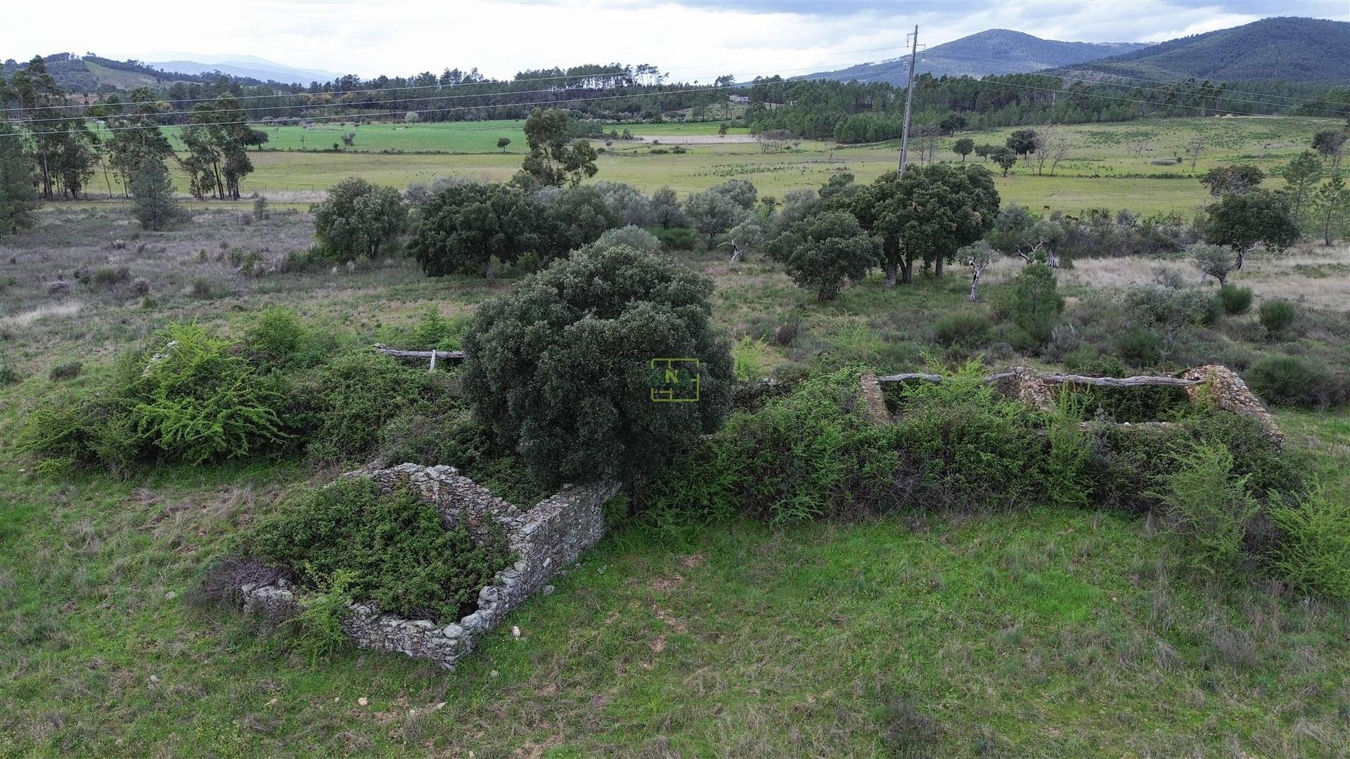 Propriedade em Penamacor!