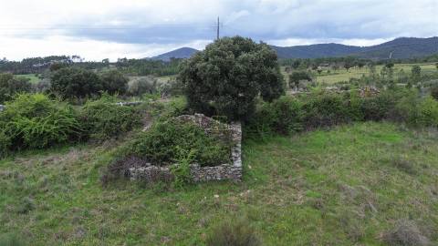 Propriedade em Penamacor!