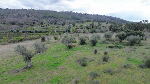 Propriedade em Penamacor!