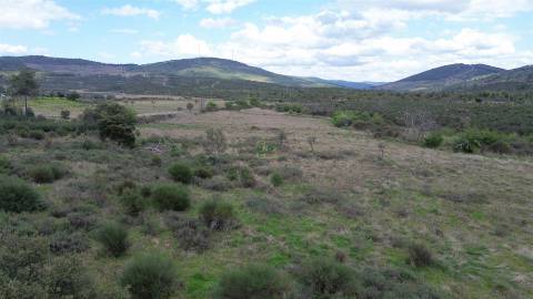 Propriedade em Penamacor!