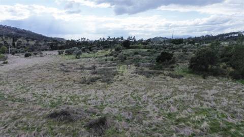 Propriedade em Penamacor!