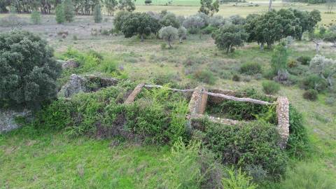 Propriedade em Penamacor!