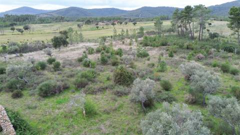 Propriedade em Penamacor!