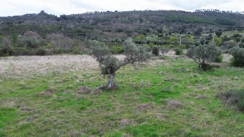 Propriedade em Penamacor!