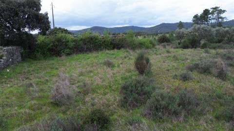 Propriedade em Penamacor!