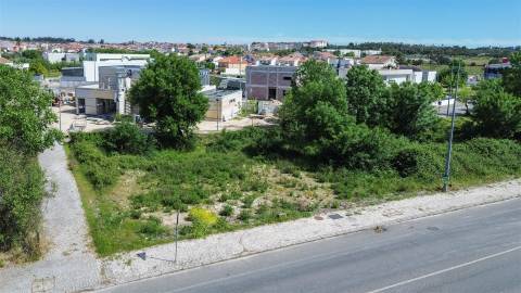 Lote de Terreno  Venda em Alcains,Castelo Branco