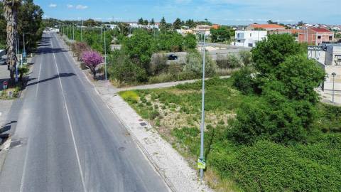 Lote de Terreno  Venda em Alcains,Castelo Branco