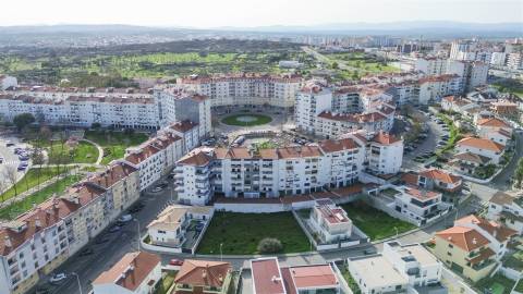 Lote de Terreno  Venda em Castelo Branco,Castelo Branco