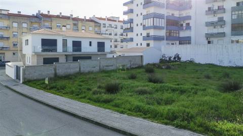 Lote de Terreno  Venda em Castelo Branco,Castelo Branco