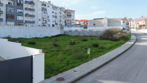 Lote de Terreno  Venda em Castelo Branco,Castelo Branco