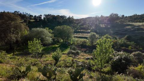 Quinta T2 Venda em Póvoa de Rio de Moinhos e Cafede,Castelo Branco