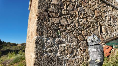 Quinta T2 Venda em Póvoa de Rio de Moinhos e Cafede,Castelo Branco