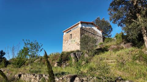 Quinta T2 Venda em Póvoa de Rio de Moinhos e Cafede,Castelo Branco