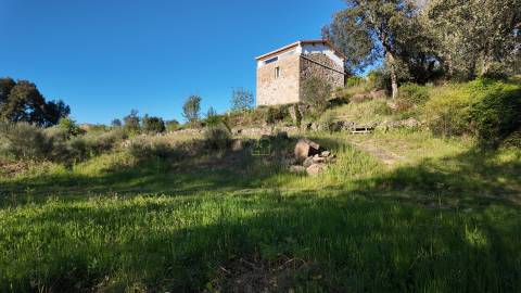 Quinta T2 Venda em Póvoa de Rio de Moinhos e Cafede,Castelo Branco
