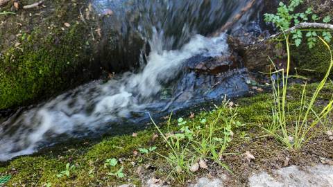 Quinta T2 Venda em Póvoa de Rio de Moinhos e Cafede,Castelo Branco