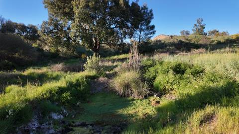 Quinta T2 Venda em Póvoa de Rio de Moinhos e Cafede,Castelo Branco