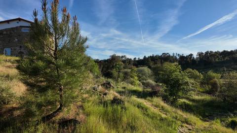 Quinta T2 Venda em Póvoa de Rio de Moinhos e Cafede,Castelo Branco