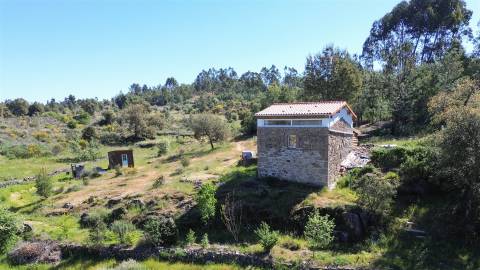 Quinta T1 Venda em Póvoa de Rio de Moinhos e Cafede,Castelo Branco