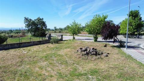 Lote de Terreno  Venda em Castelo Branco,Castelo Branco