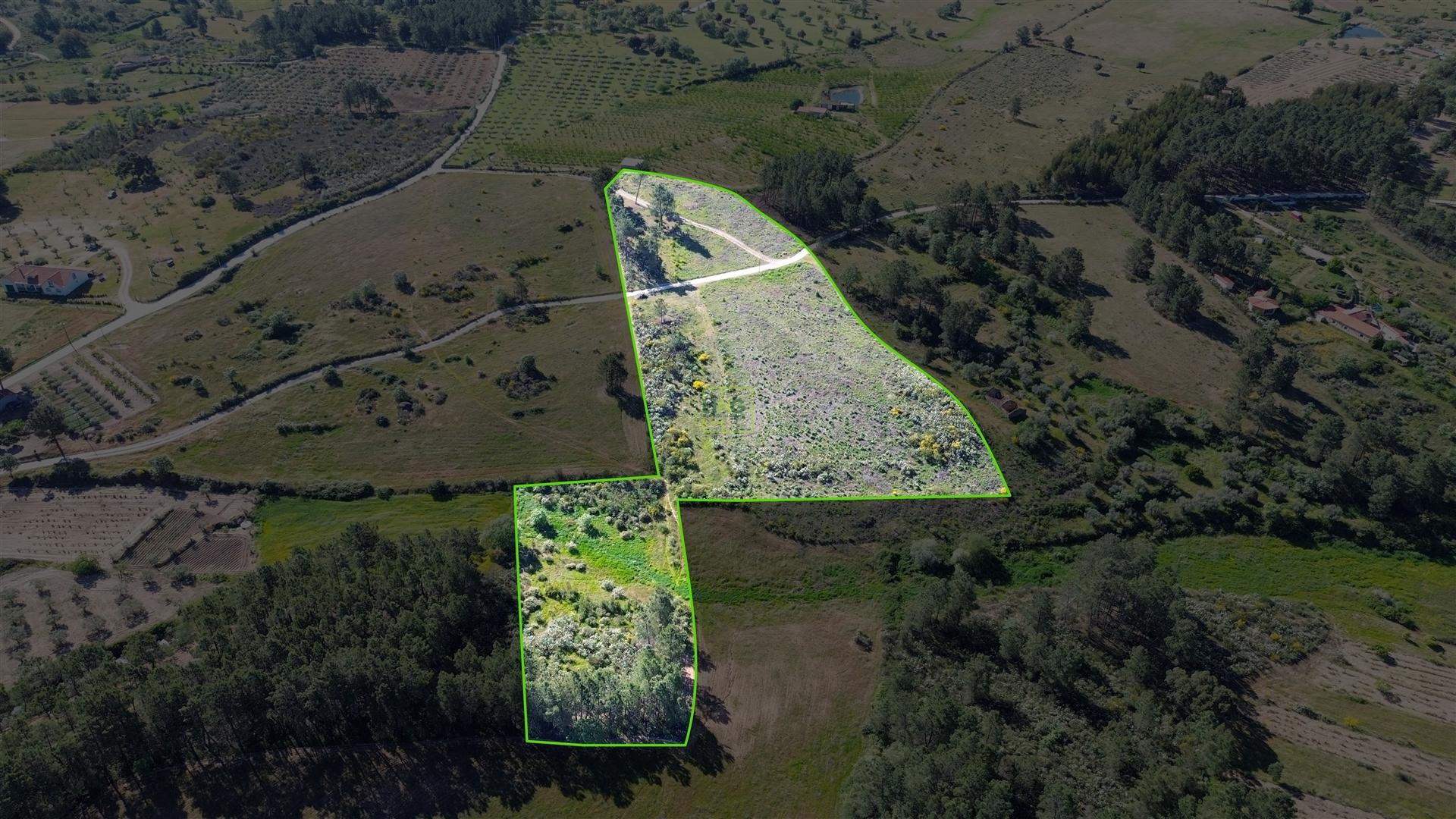 Terreno Rústico para venda com cerca de 19 200 metros na aldeia do Catrão, Vale Prazeres, Fundão