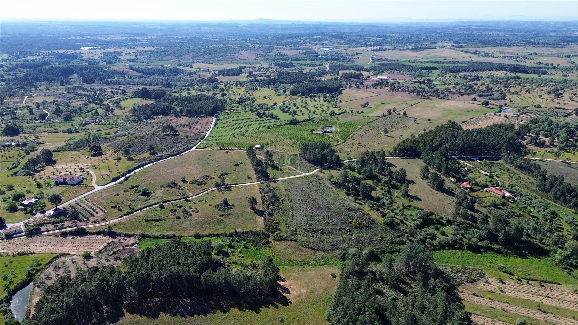 Terreno Rústico para venda com cerca de 19 200 metros na aldeia do Catrão, Vale Prazeres, Fundão