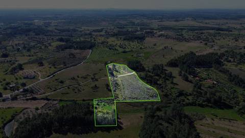 Terreno Rústico para venda com cerca de 19 200 metros na aldeia do Catrão, Vale Prazeres, Fundão